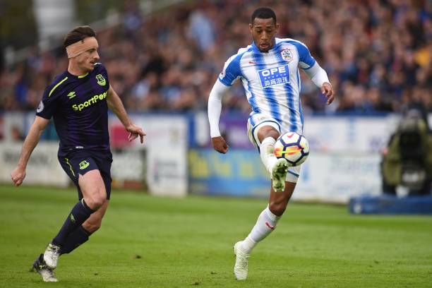 的灵活性 的灵活性